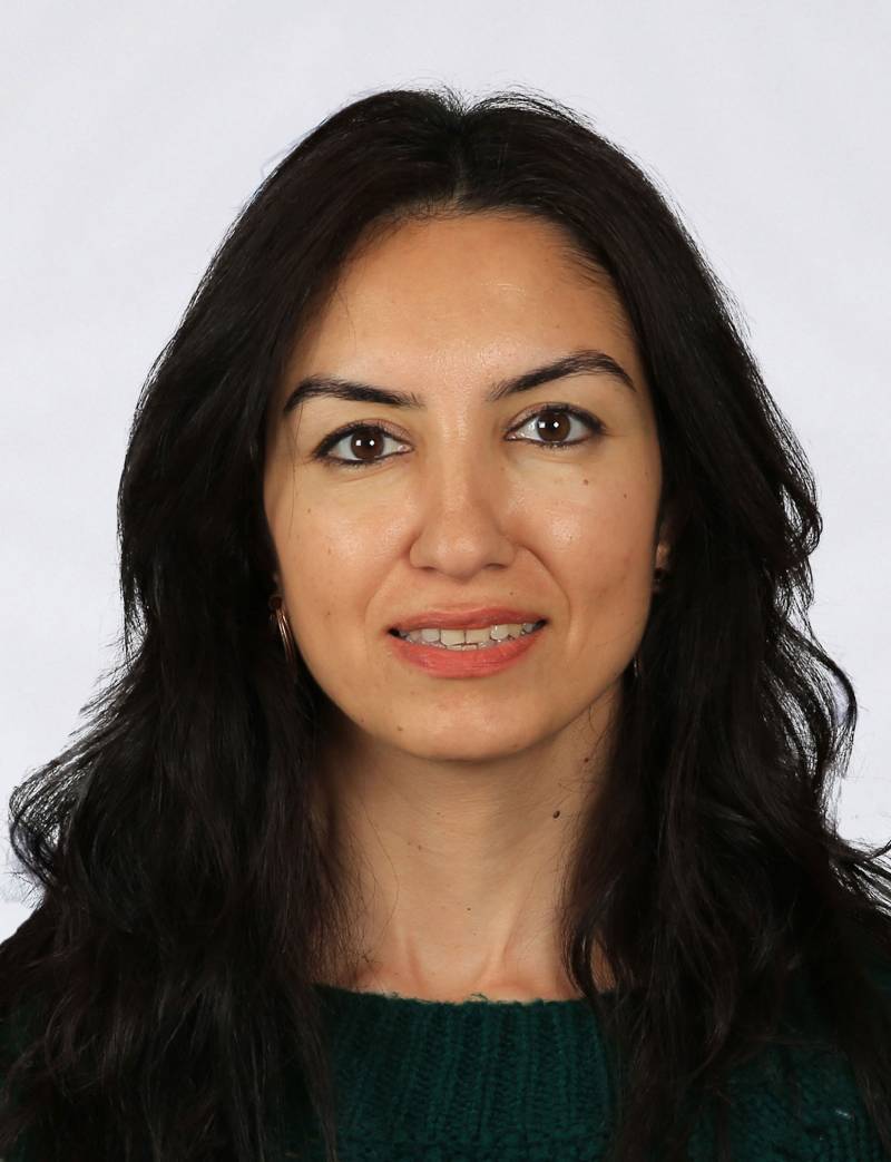 Arş. Gör. Dr. CEYLAN ÇOŞKUNER KALIN