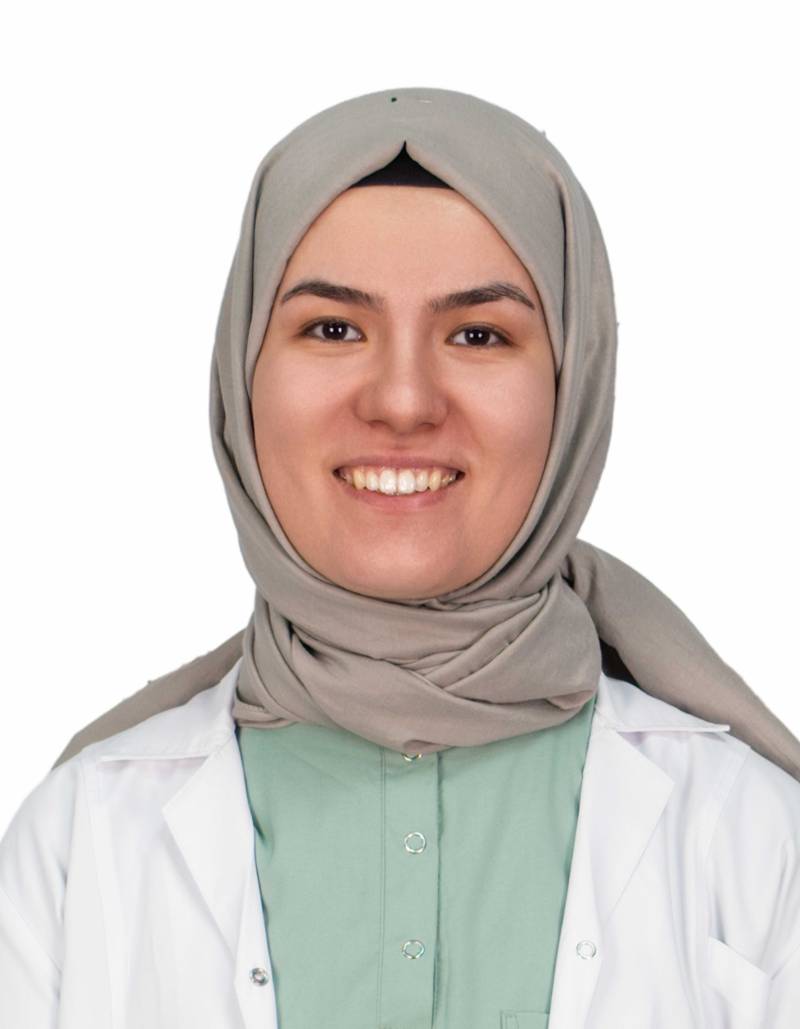 Arş. Gör.  DİLEK KABA