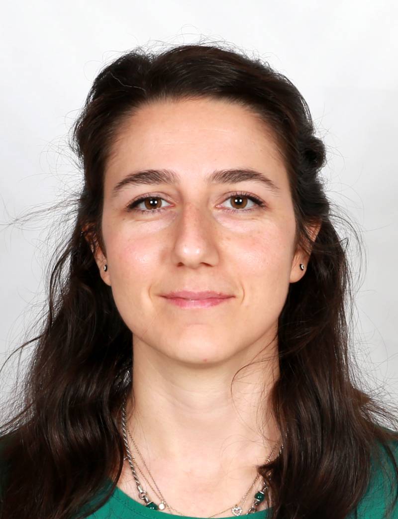 Dr. Öğr. Üyesi  ELİF TUĞBA YALAZ