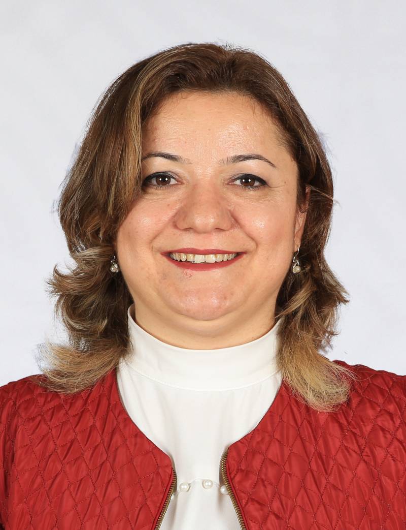 Prof. Dr. EMEL ARSLAN