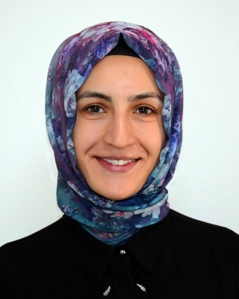 Dr. Öğr. Üyesi  EMİNE GÖKTAŞ