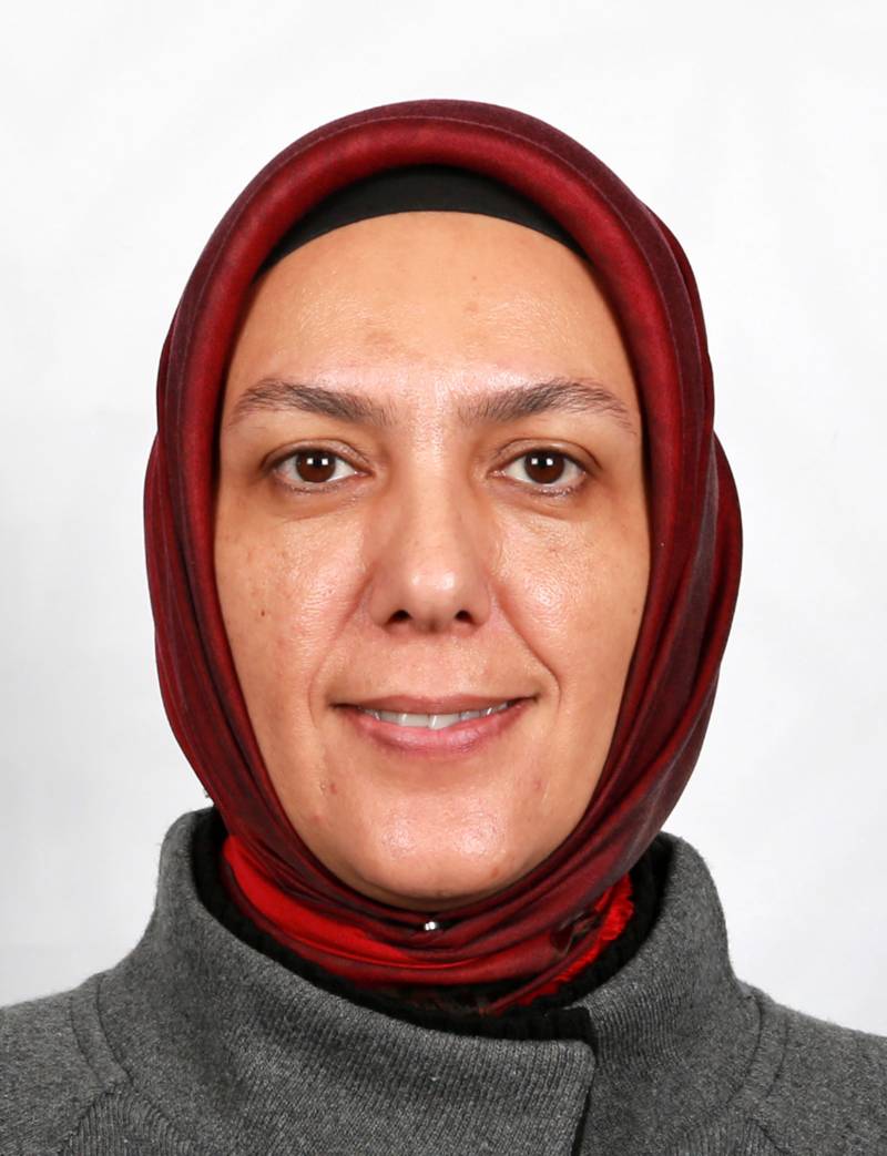 Prof. Dr. FATMA ARSLAN