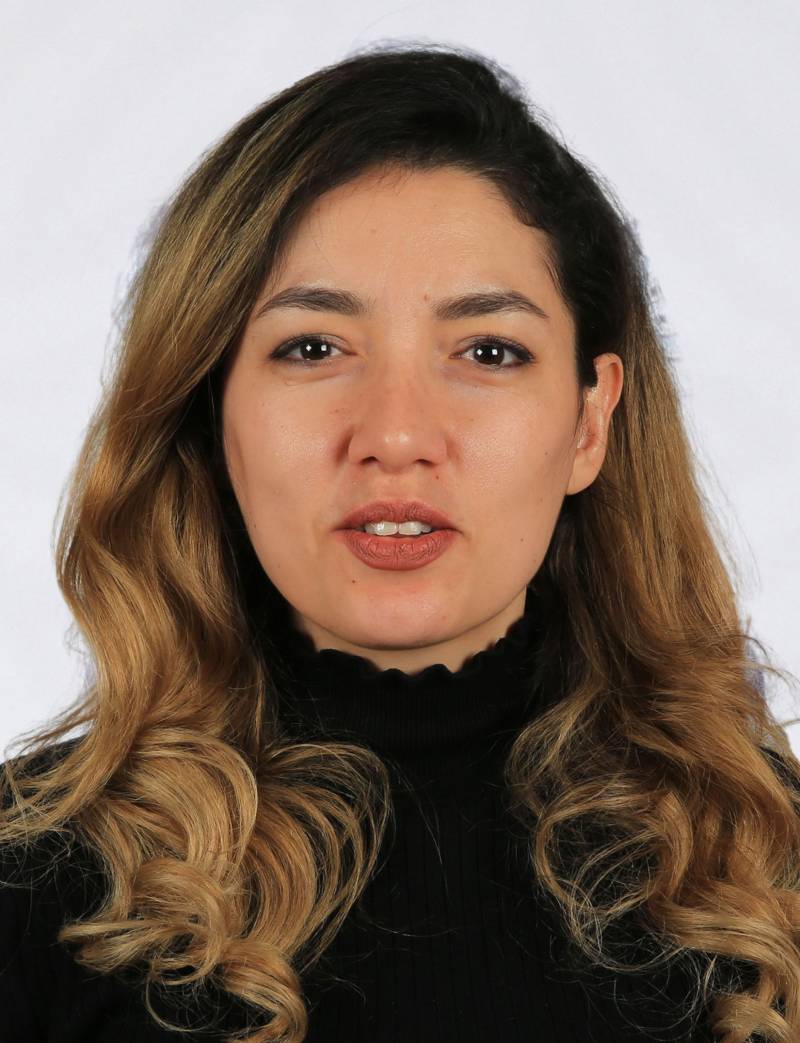 Arş. Gör. Dr. FATMA GÜRSES ATEŞ