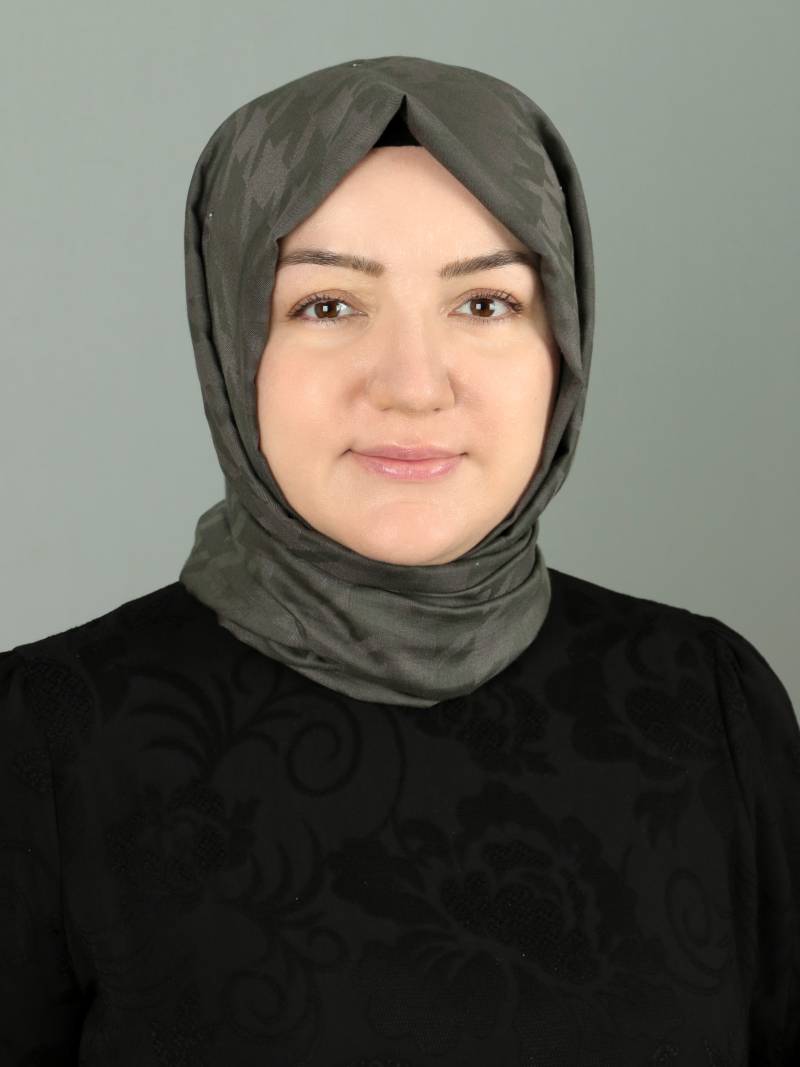 Dr. Öğr. Üyesi  GÜLSEMİN ÇİÇEK