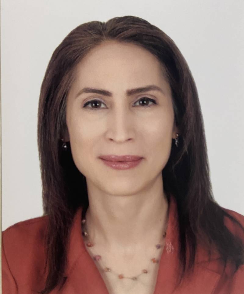 Prof. Dr. GÜLŞEN DİŞLİ