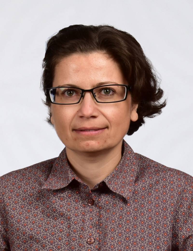 Dr. Öğr. Üyesi HALİME ERGÜN