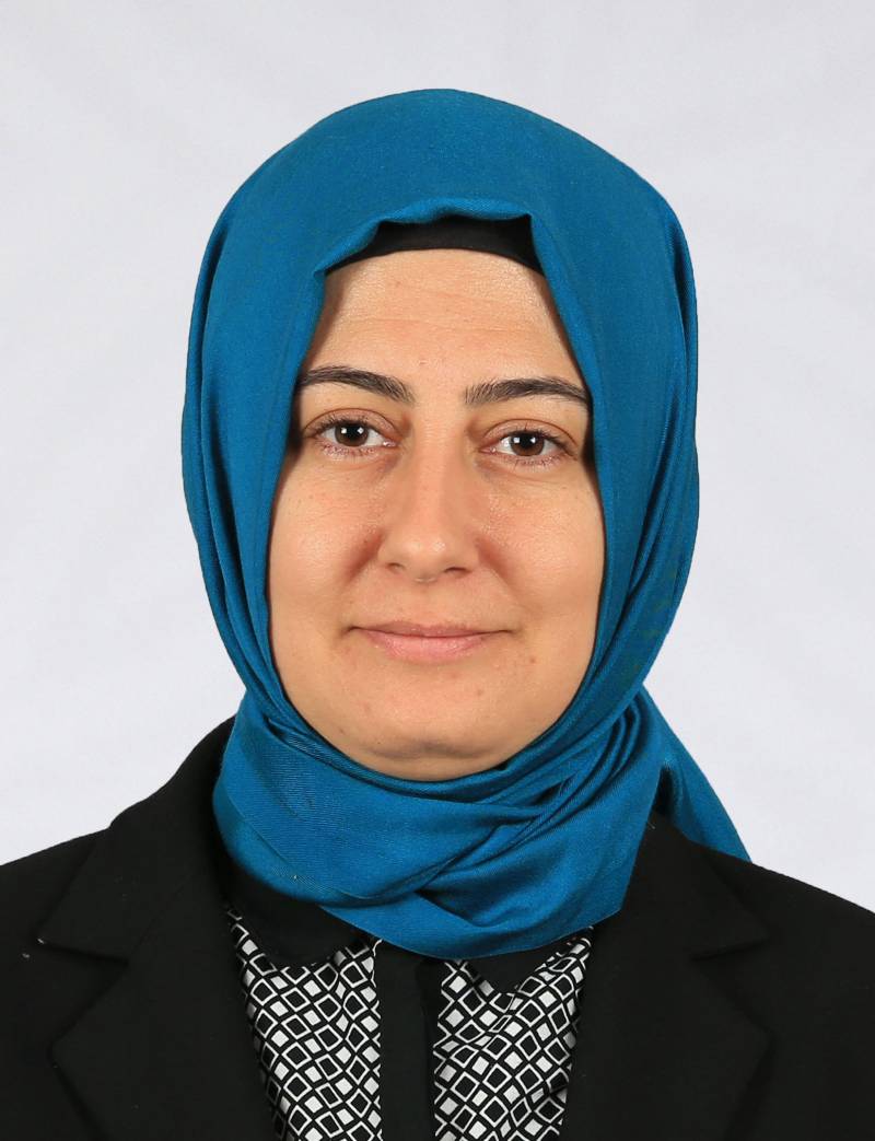 Dr. Öğr. Üyesi  HAMİDE AYGÖR
