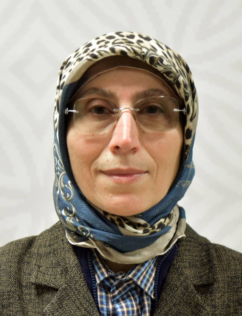 Prof. Dr. HÜLYA KÜÇÜK