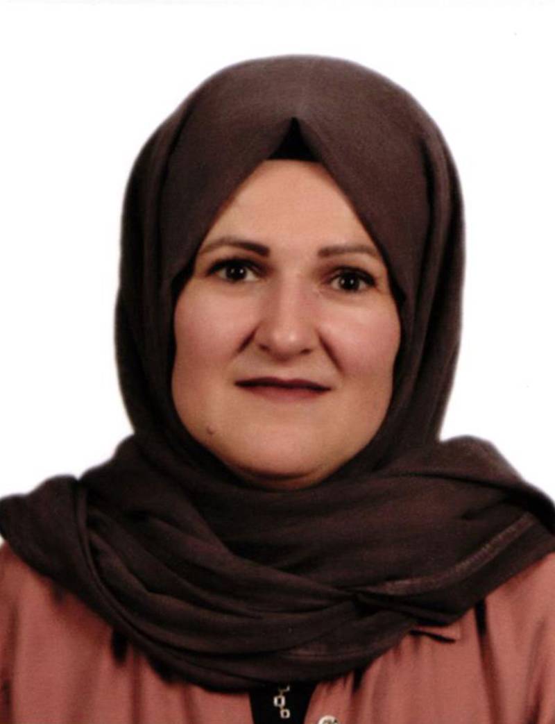 Öğr. Gör.  HÜLYA KÜÇÜKKIRATLI
