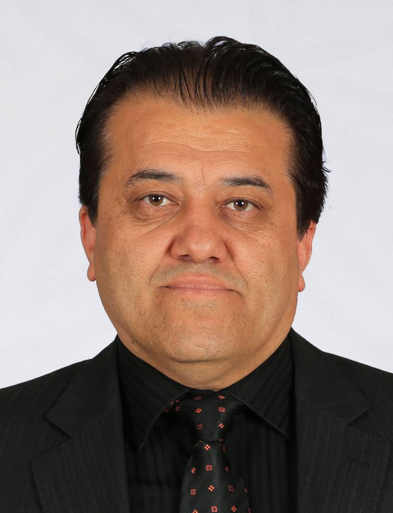 Prof. Dr. İBRAHİM ENDER MÜLAZIMOĞLU