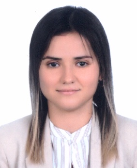 Öğr. Gör.  İREM BULUT