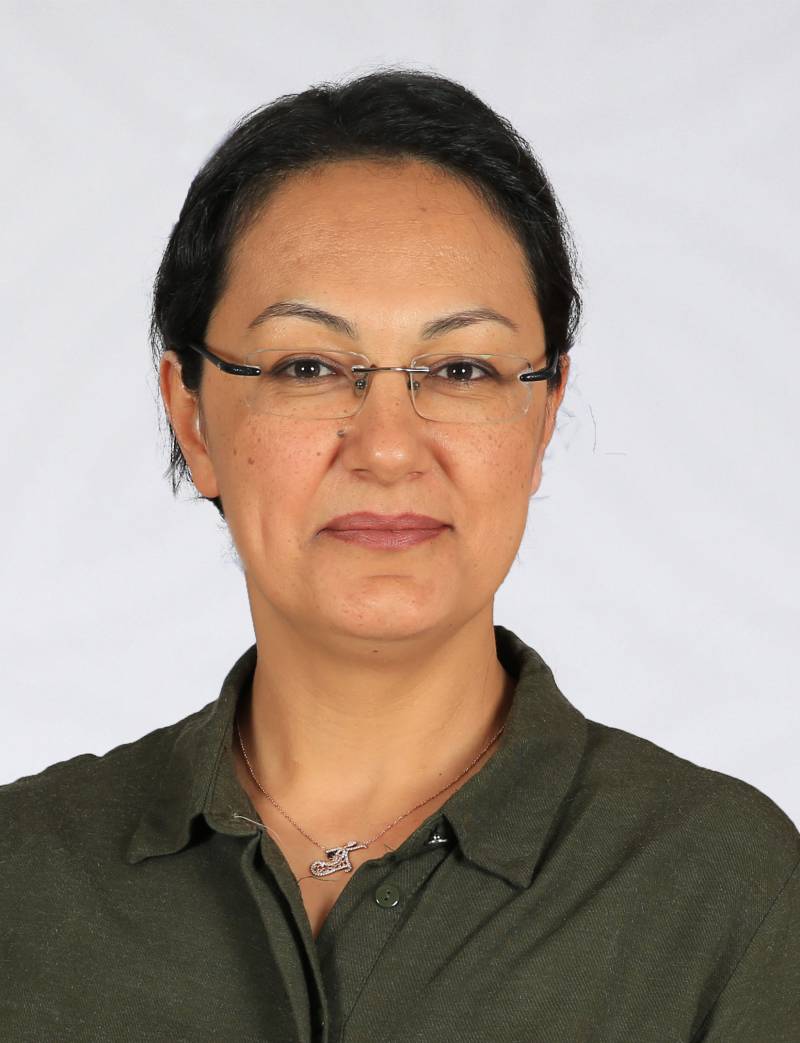 Prof. Dr. IŞIL SÖNMEZ