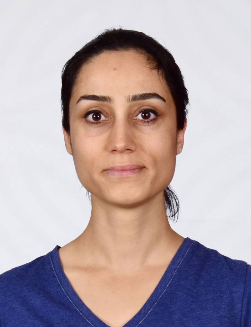 Doç. Dr. IŞIN KURT