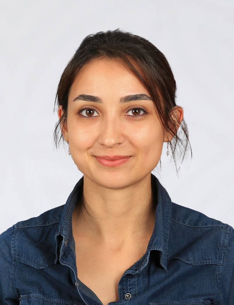 Arş. Gör.  KÜBRA İMRAN ARTAN