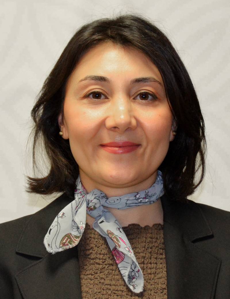 Öğr. Gör. Dr. KÜBRA SULTAN DENGİZ