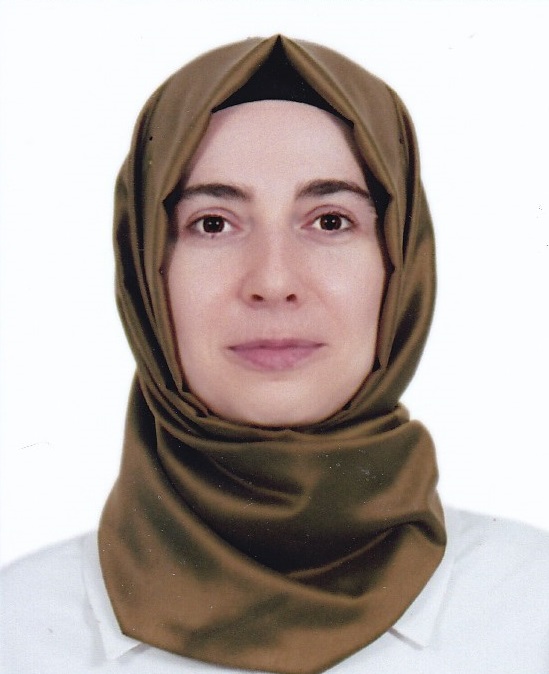 Dr. Öğr. Üyesi  LÜTFİYE TEKPINAR