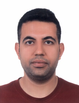 Doç. Dr. MEHMET BAŞCILLAR