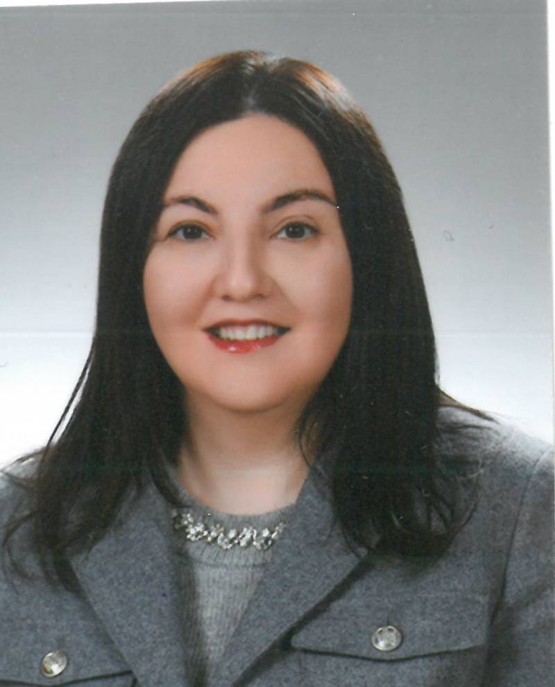 Dr. Öğr. Üyesi  MELTEM YARDIM