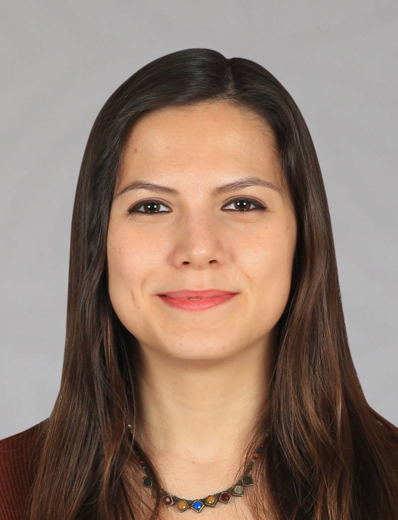 Dr. Öğr. Üyesi  MERVE ÖZCAN TÜRKMEN