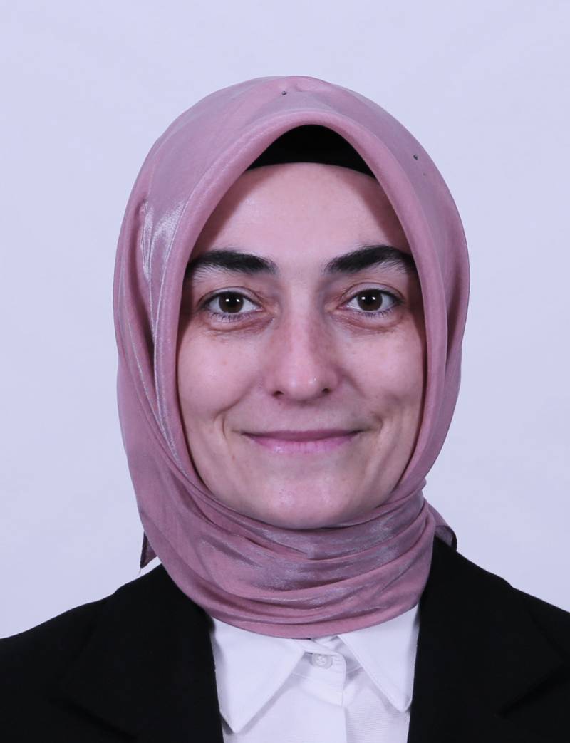 Dr. Öğr. Üyesi  MÜCELLA ATEŞ