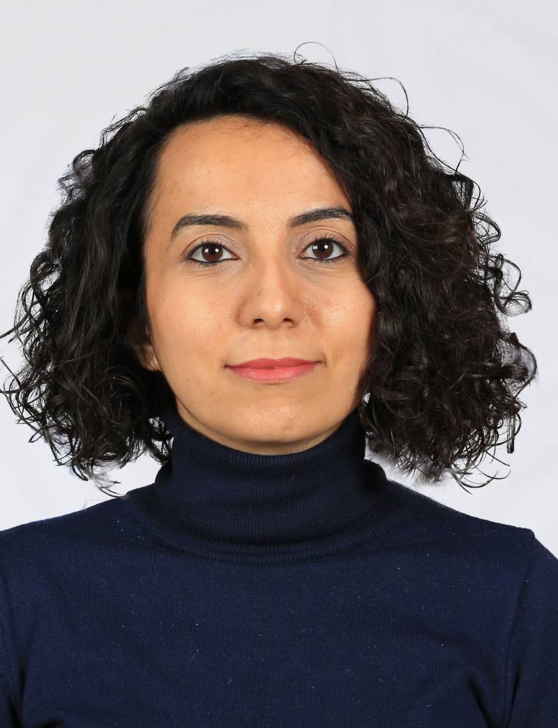 Dr. Öğr. Üyesi MURADİYE ÇEVİKÇELİK