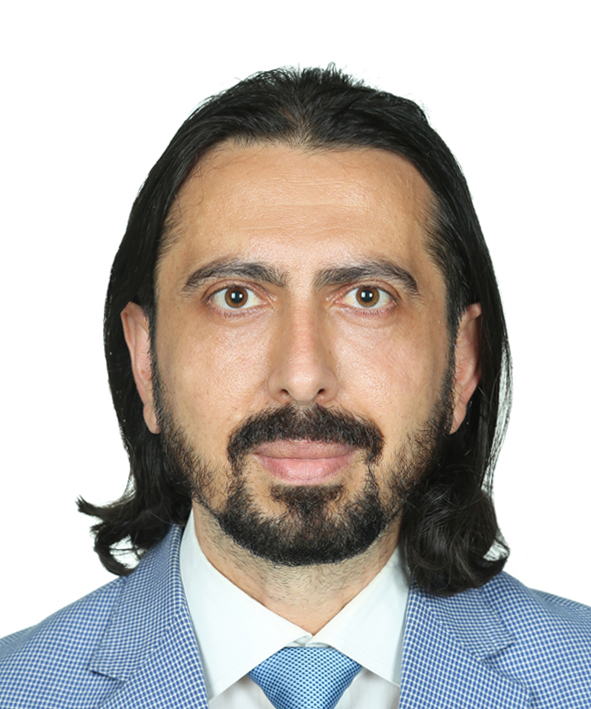 Prof. Dr. MURAT ŞEVİK