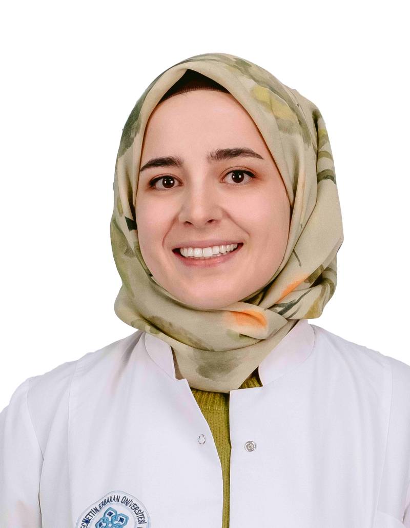 Dr. Öğr. Üyesi NESLİHAN GÜNTEKİN