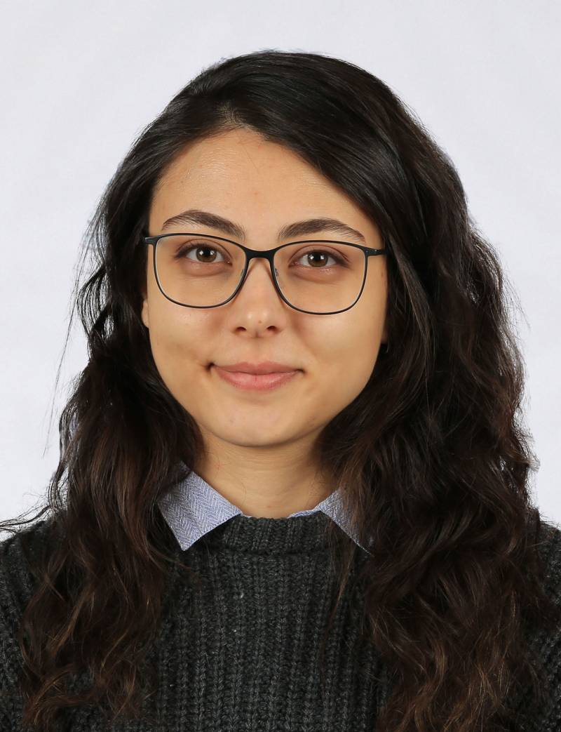 Arş. Gör.  NESLİHAN KARAARSLAN