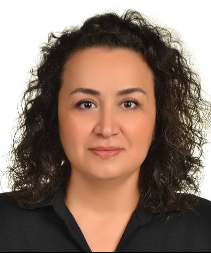 Prof. Dr. NİLÜFER CERİT BERBER