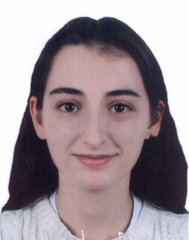 Arş. Gör.  NURSEL KAYA