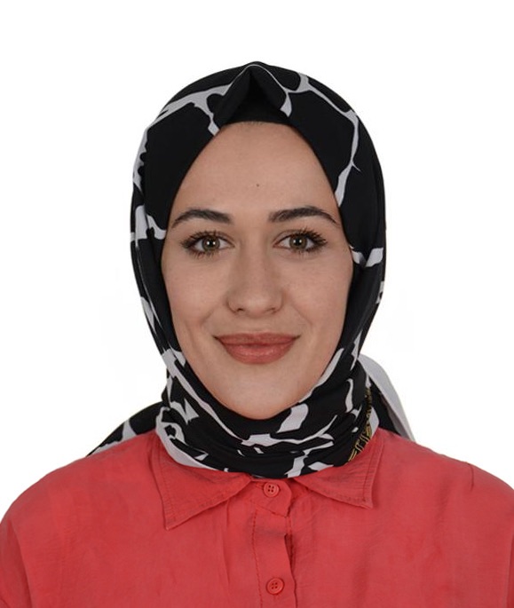 Arş. Gör.  SABİRE SİVRİKAYA