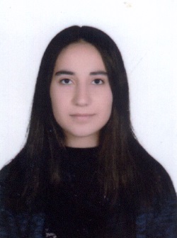 Arş. Gör.  SATI TÜRK