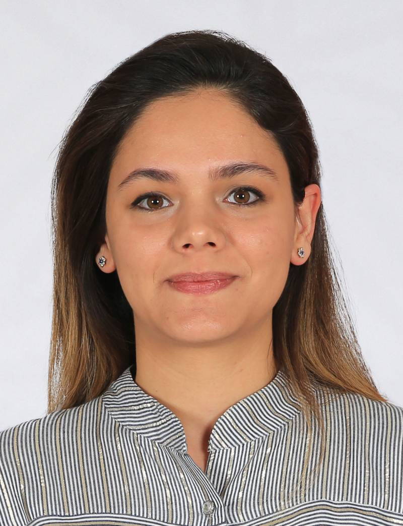 Arş. Gör. Dr. SEDEF AKÇAALAN