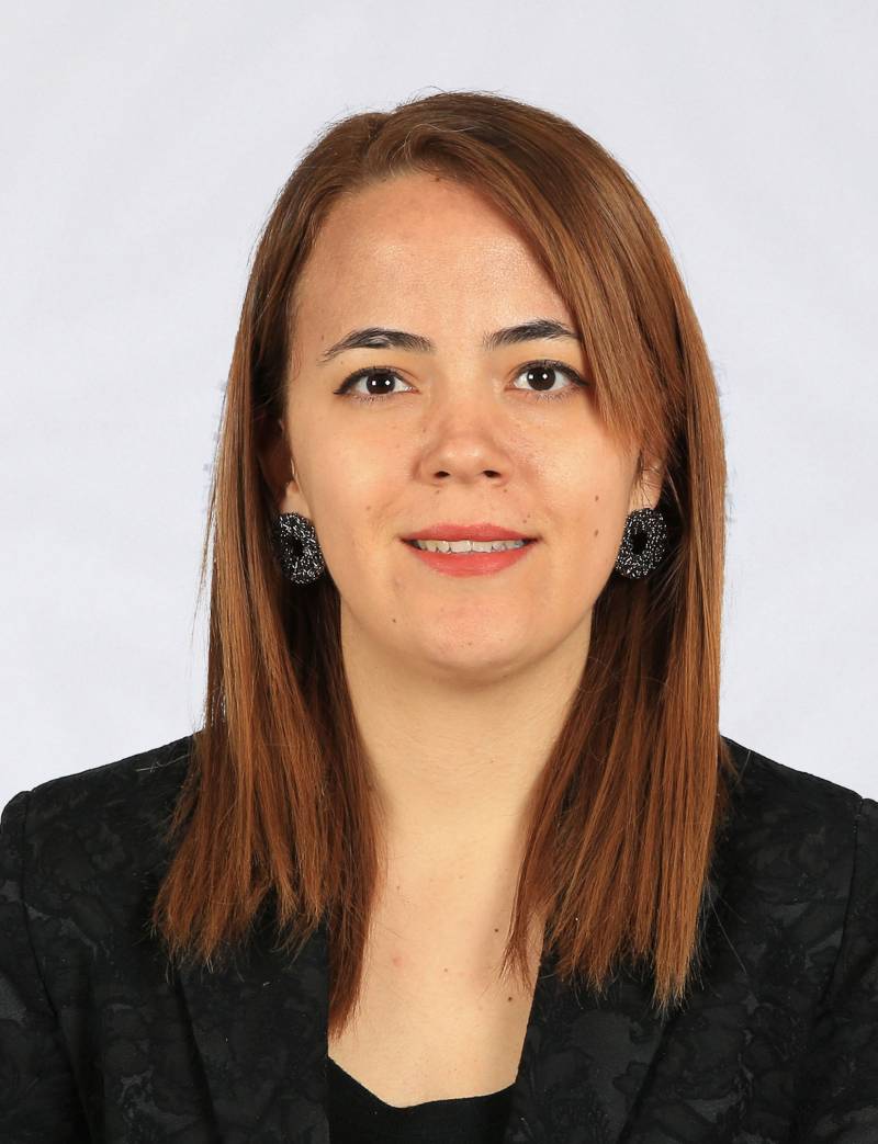 Dr. Öğr. Üyesi  SEMA MÜGE ÖZDEMİRAY