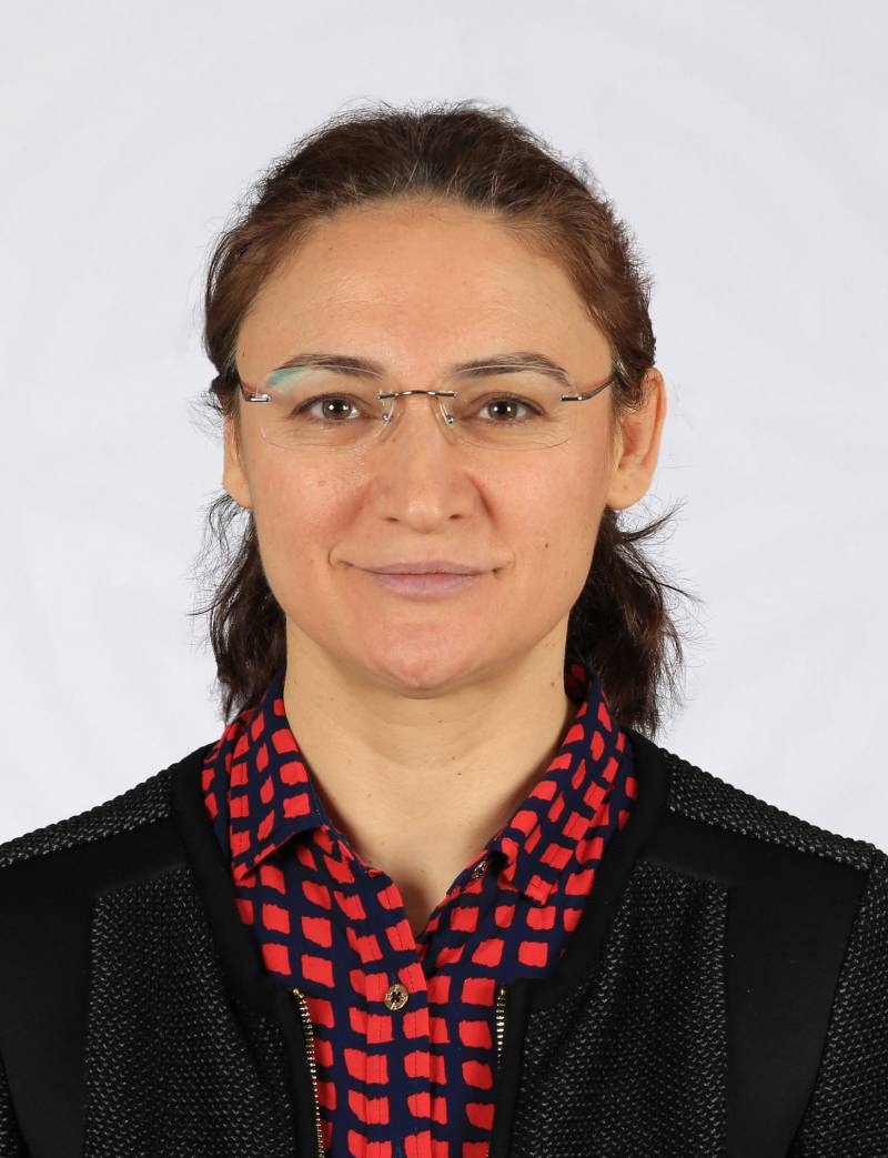 Prof. Dr. SENAR AYDIN