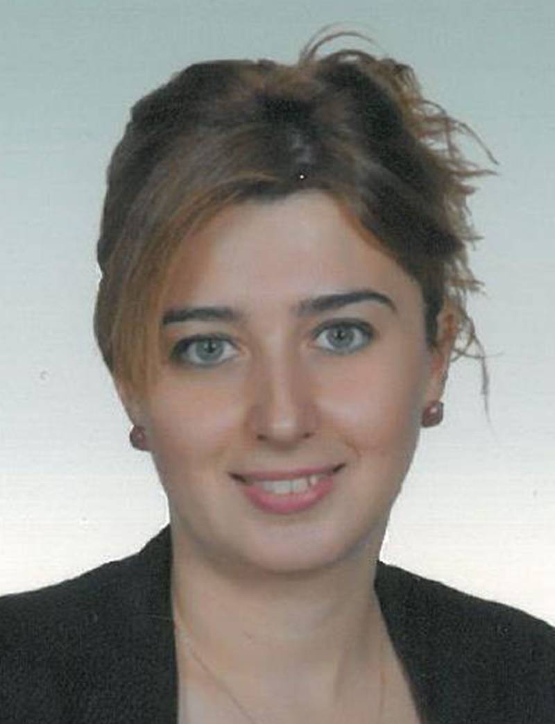Dr. Öğr. Üyesi  SERAP BATI