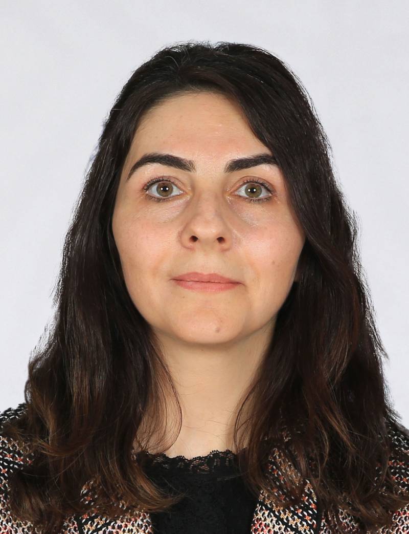 Dr. Öğr. Üyesi SERPİL KARA