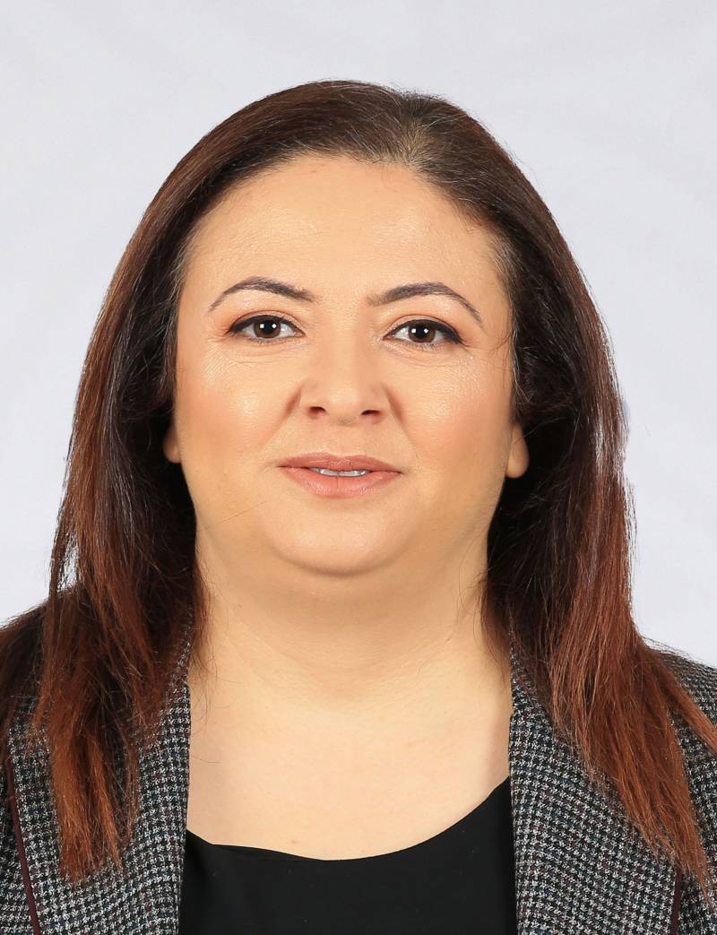 Dr. Öğr. Üyesi  SERPİL SU