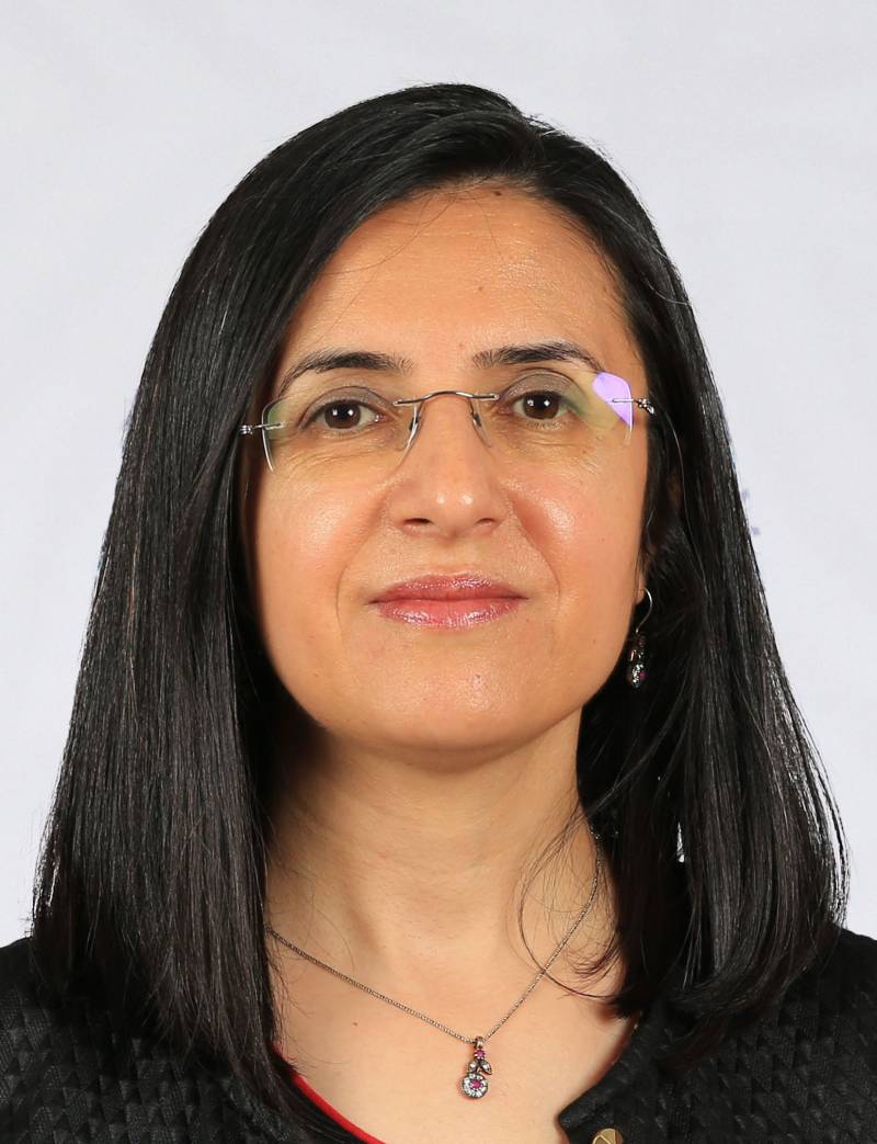 Doç. Dr. SERPİL YÜKSEL