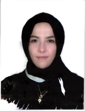 Dr. Öğr. Üyesi  ŞEYDA YILDIRIM