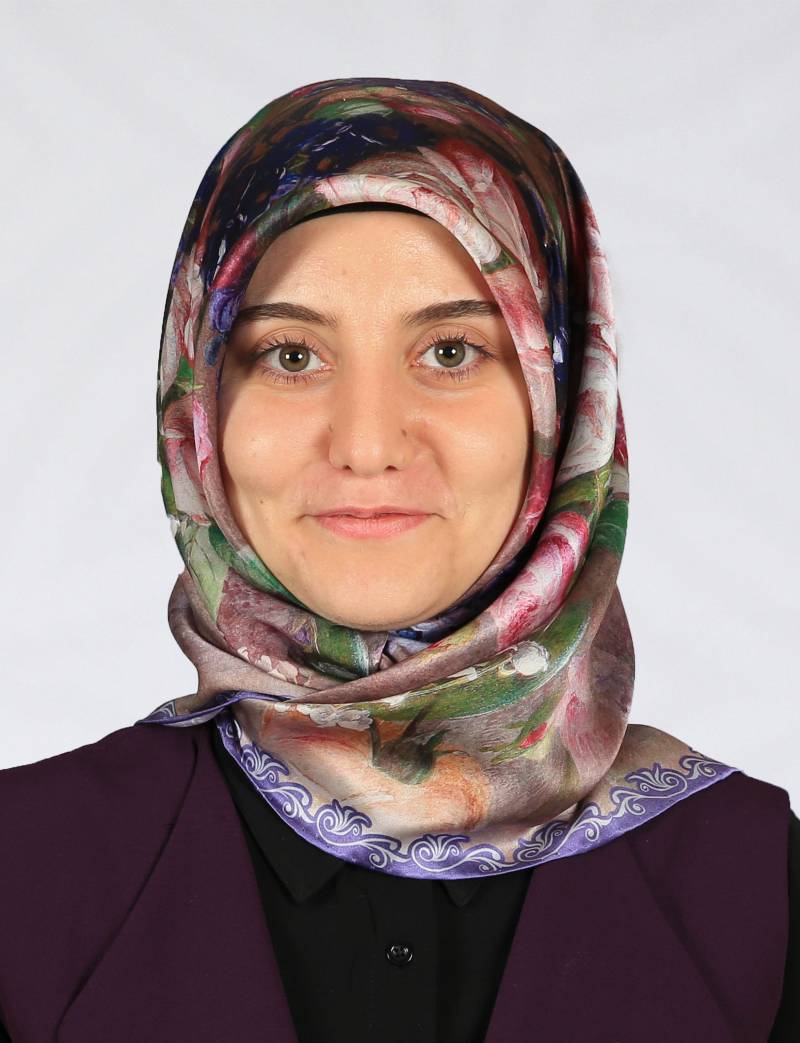 Arş. Gör. Dr. ŞEYMA BULUT