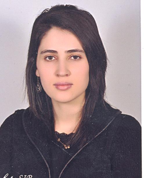 Arş. Gör. Dr. ŞEYMA ULUKÖK YILDIRIM
