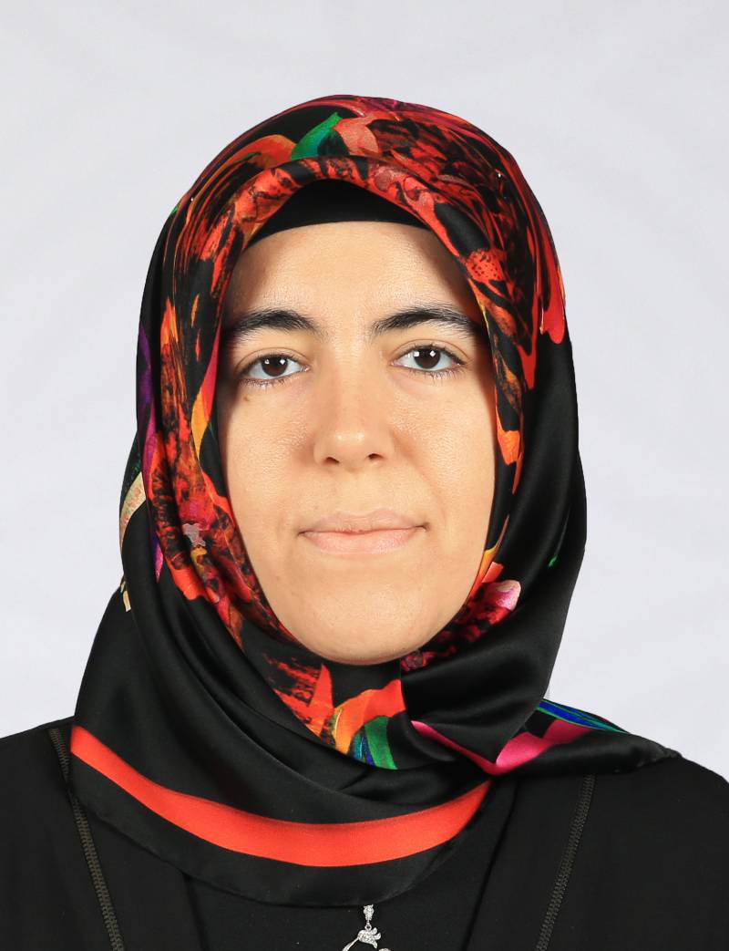 Dr. Öğr. Üyesi SÜMEYYE SAYĞIN