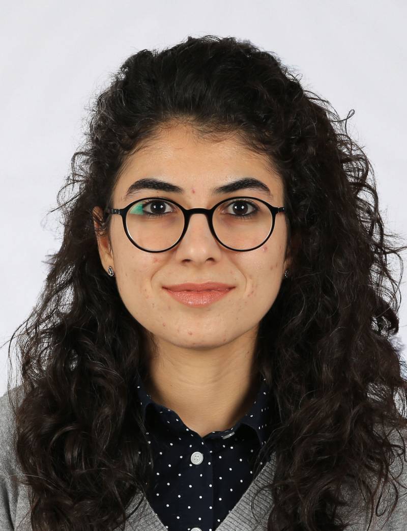 Arş. Gör.  TUĞBA TOPTAŞ BÖCÜ