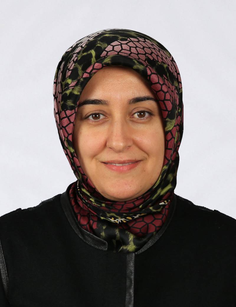 Öğr. Gör.  ÜLKÜ GÖKTÜRK