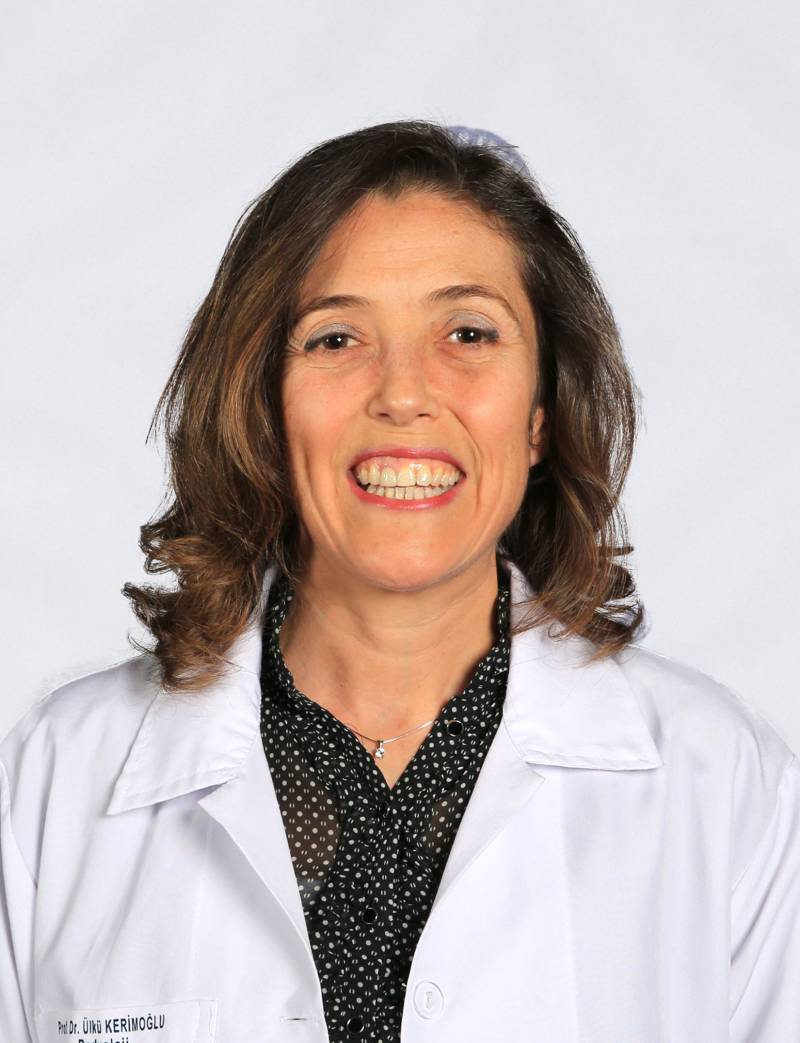 Prof. ÜLKÜ KERİMOĞLU