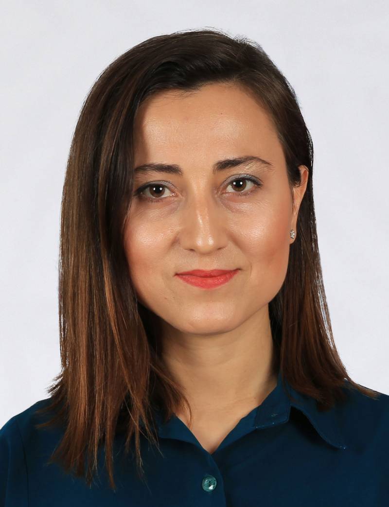 Doç. Dr. VESİLE KOÇAK